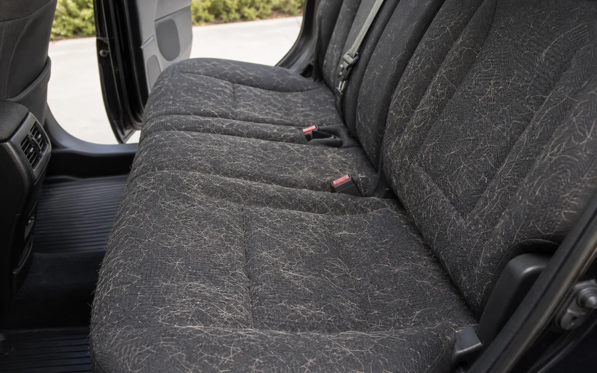 Pet Hair Removal before detailing