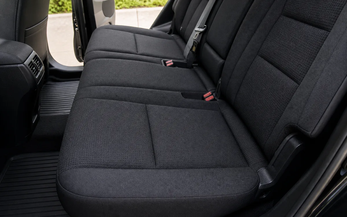 Pet Hair Removal after detailing